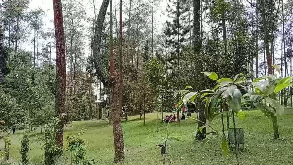 WAPITT Wisata Alam Jumprit Temanggung gallery 2