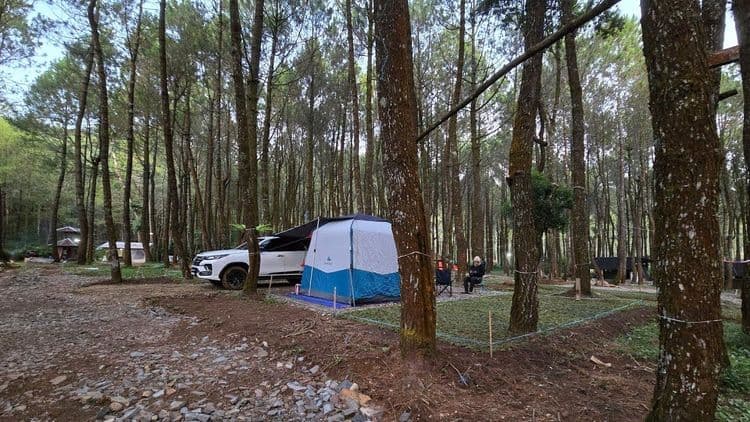 Patuha Pinus Land Camp