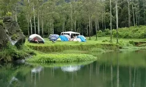 Citere Camping Ground gallery 2