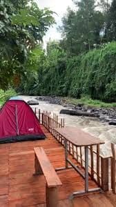 Pinus Camp Songgon gallery 2
