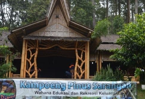 Kampoeng Pinus Sarangan