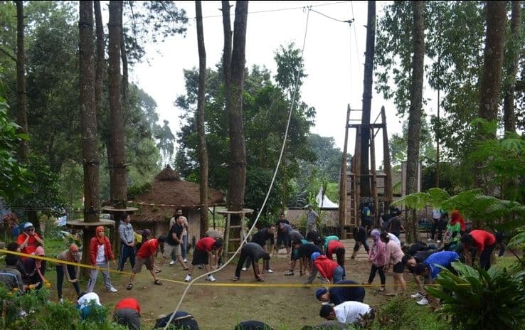 Kampoeng Pinus Sarangan gallery 2