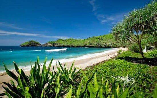 The Virgin Beach Srau