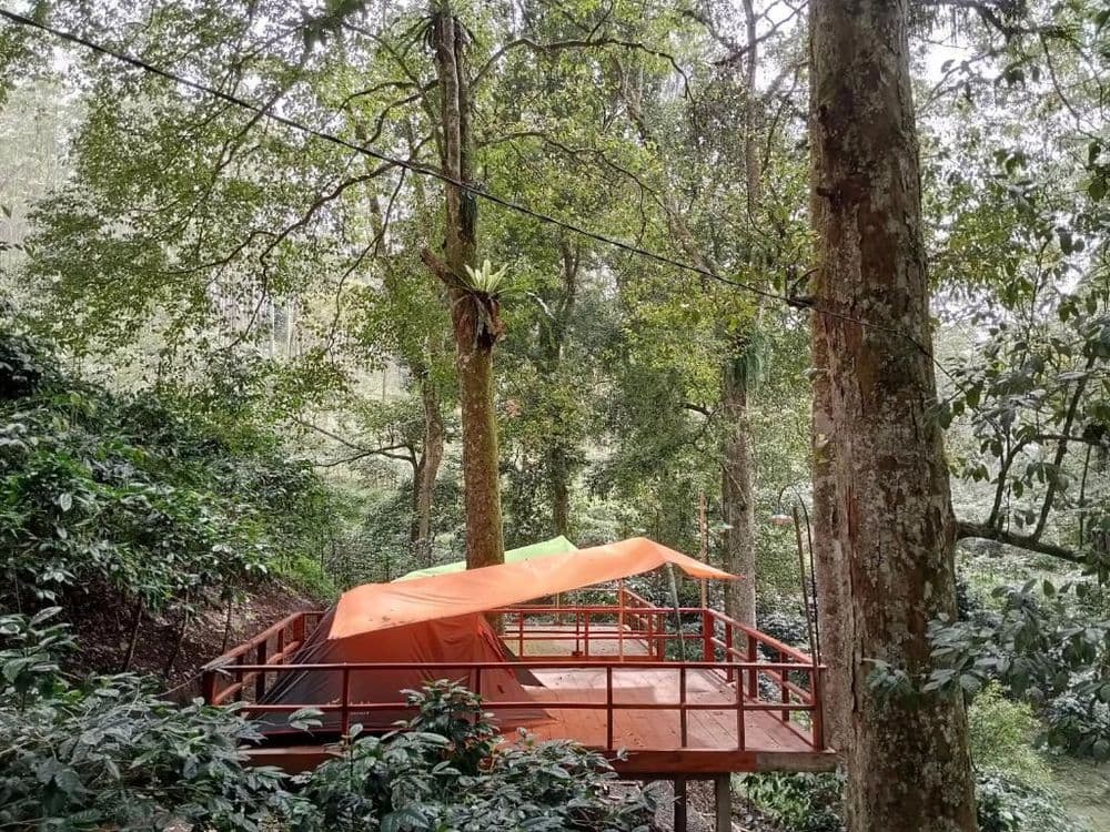 Mala Green Camp gallery 1