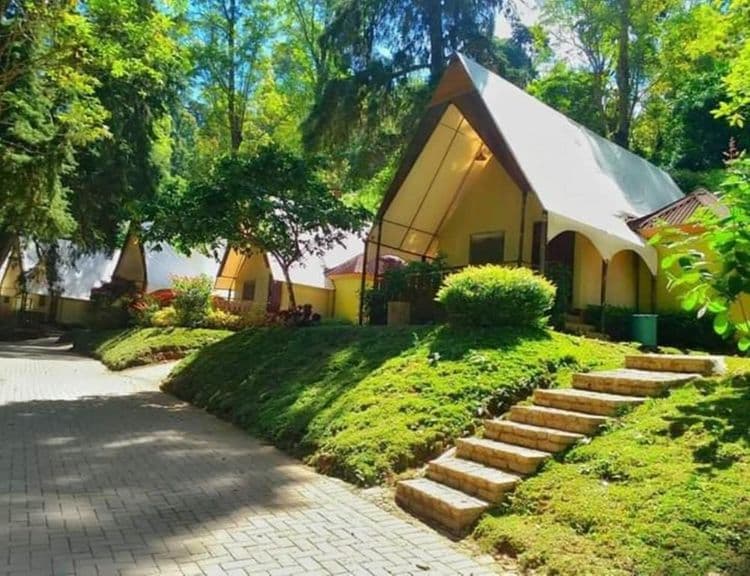 Lawu Green Forest gallery 2