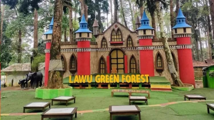 Lawu Green Forest