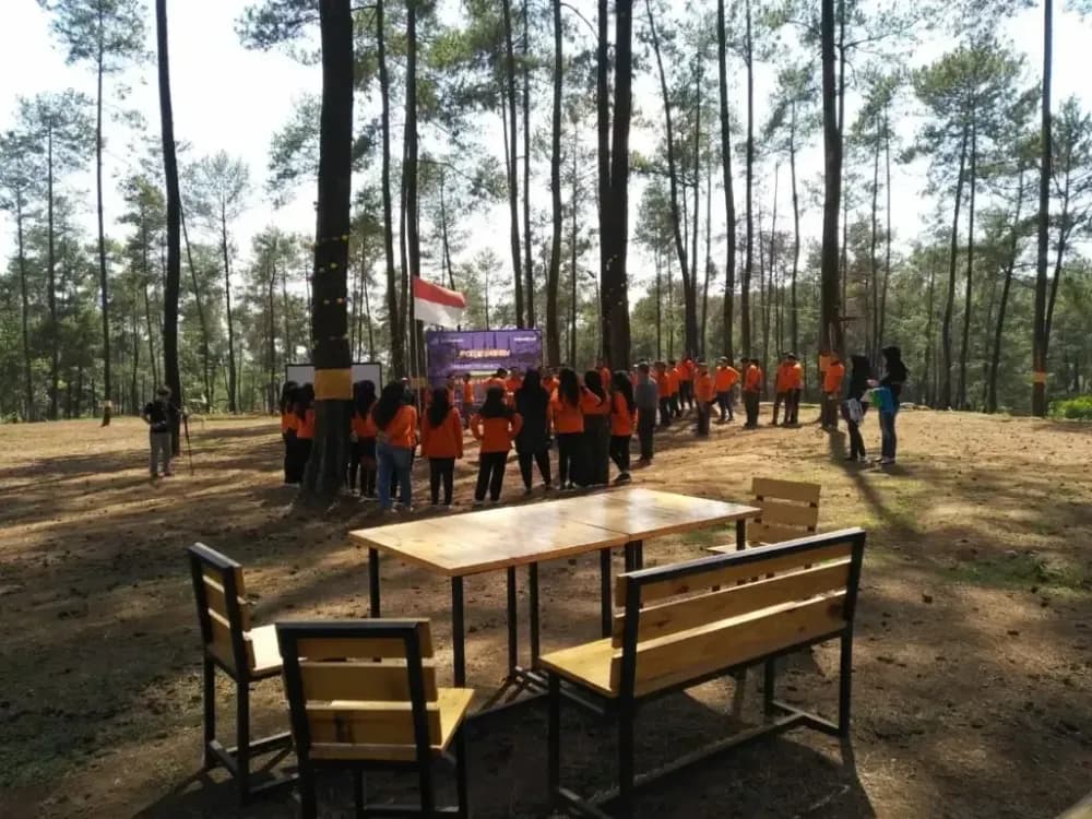 Pinus Jungle Camp gallery 2