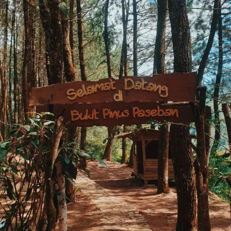 Bukit Pinus Paseban Camp gallery 2