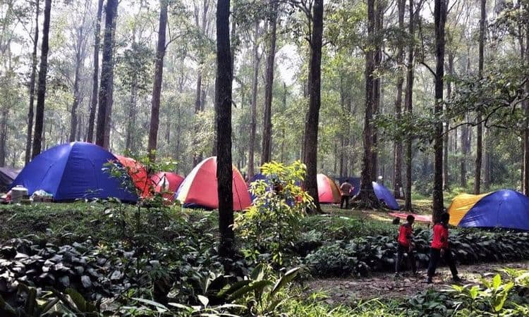 Gunung Bunder Camping Ground gallery 2