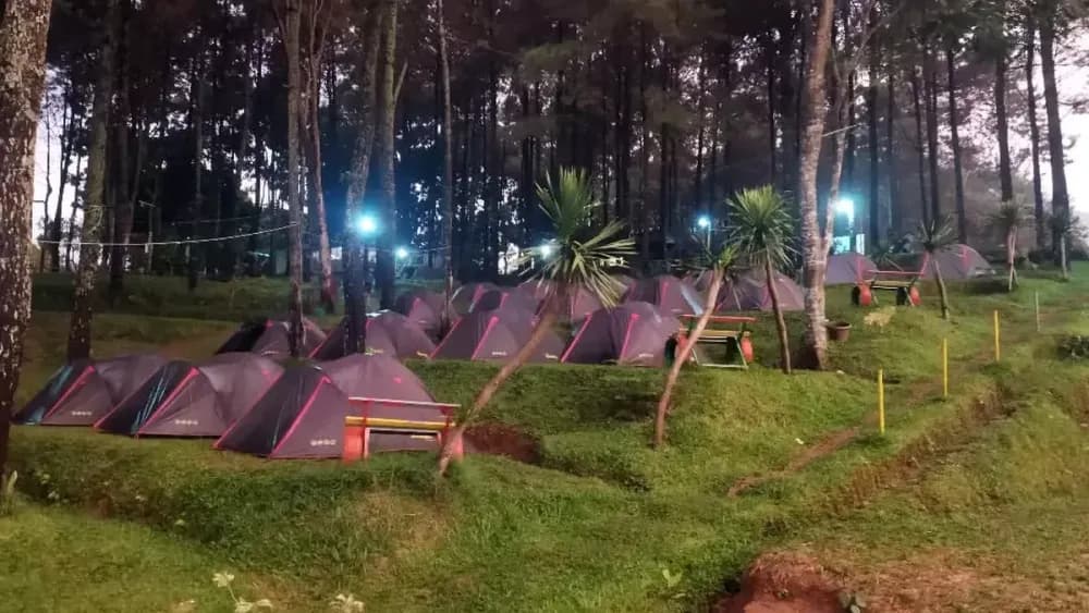 Alas Pelangi gallery 2