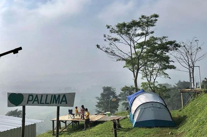 Pallima Hills gallery 2