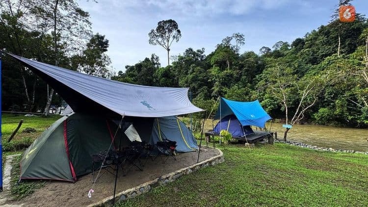 Tangkahan Camp