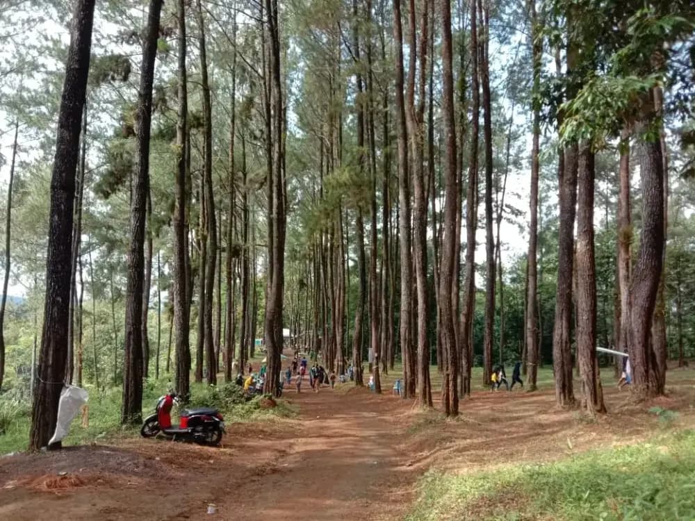 Nirwana Lokajaya gallery 2