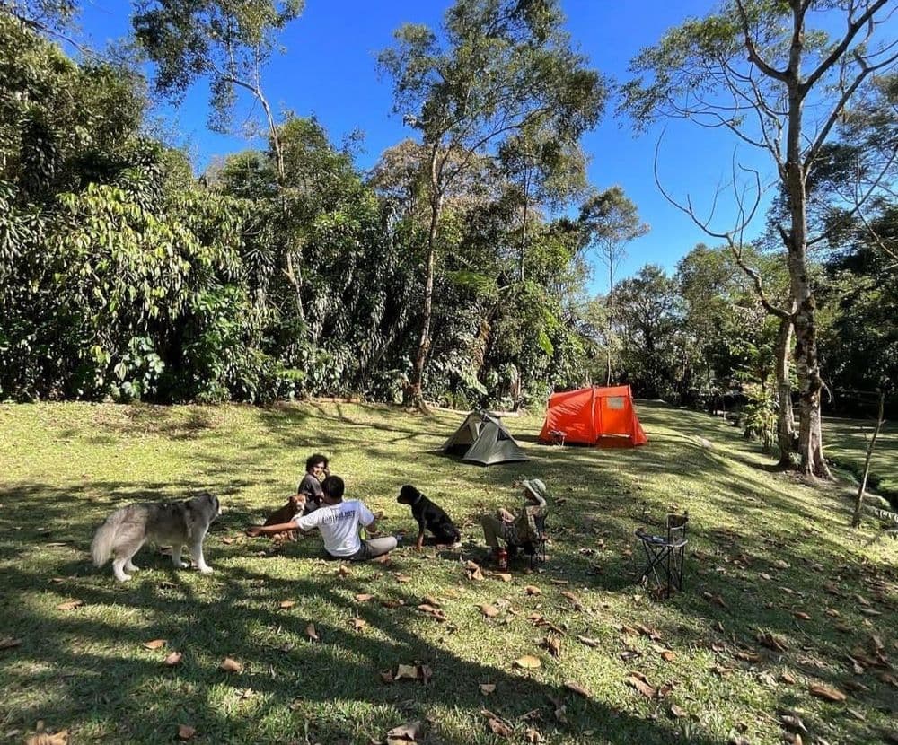 Halimun Jeep gallery 2