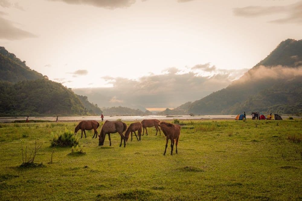 Pasir Hijau Batara Camping Malong gallery 2