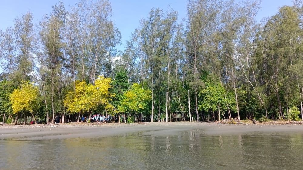 Injros View Jayapura gallery 2