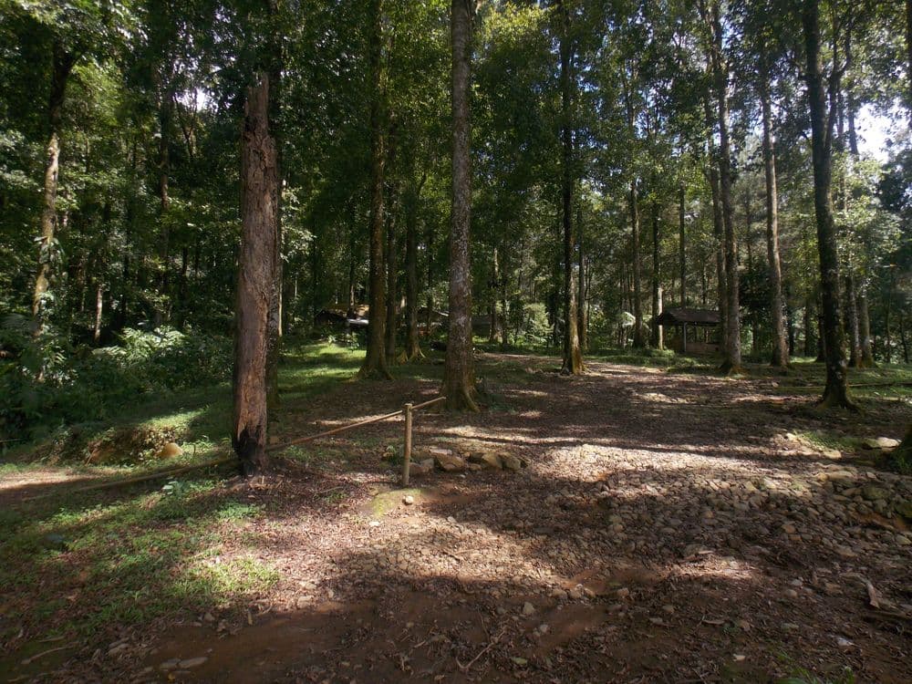 Rumpun Tulip Camping Ground gallery 2