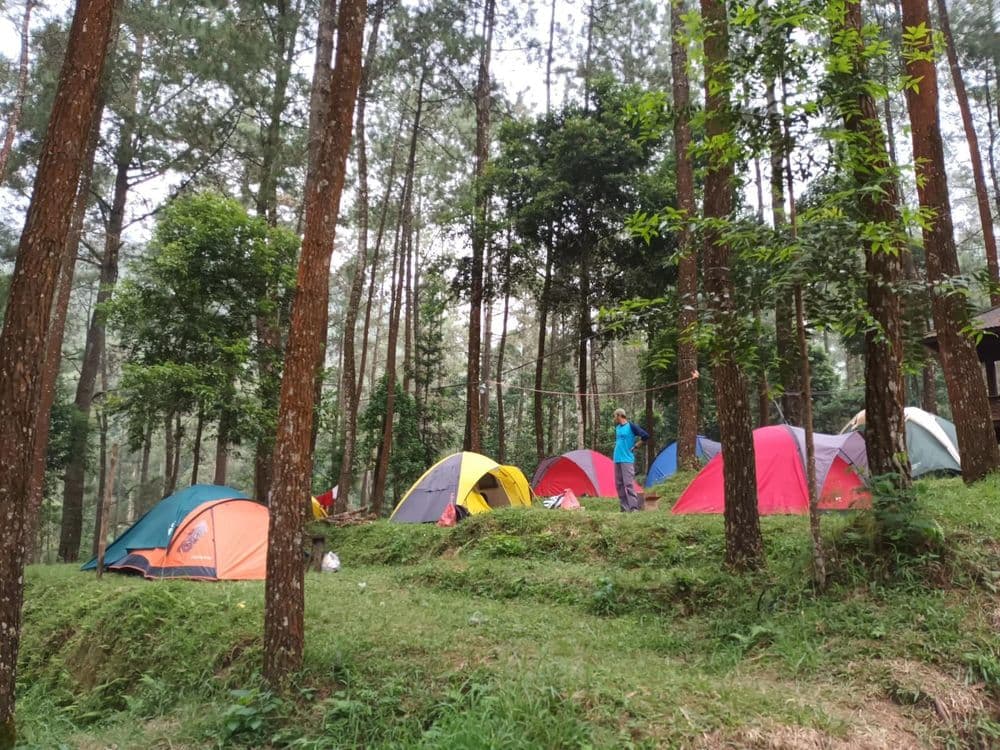 Bumi Perkemahan Segoro Gunung gallery 2