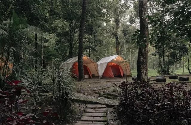 Kolega Prioritas Camping Ground