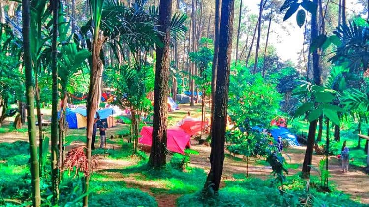 Wisata Alam Curug Hiji