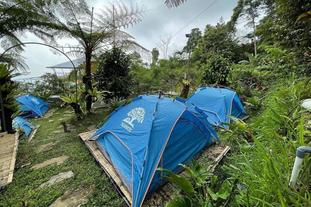 Lembah Pinus Camp&Cafe gallery 2