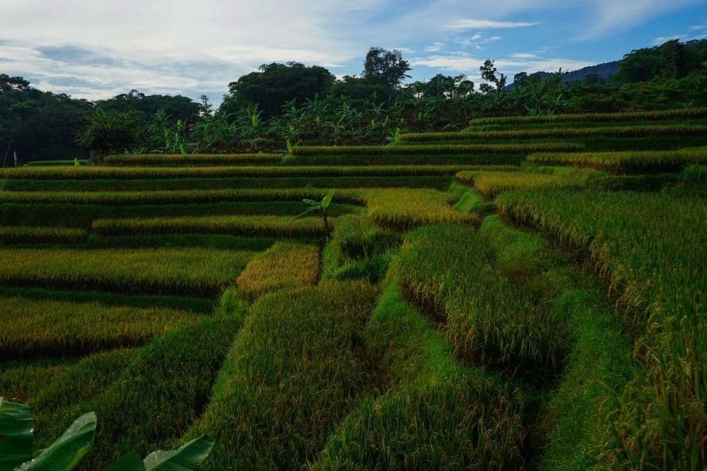 Kambing Bagus Camp gallery 1