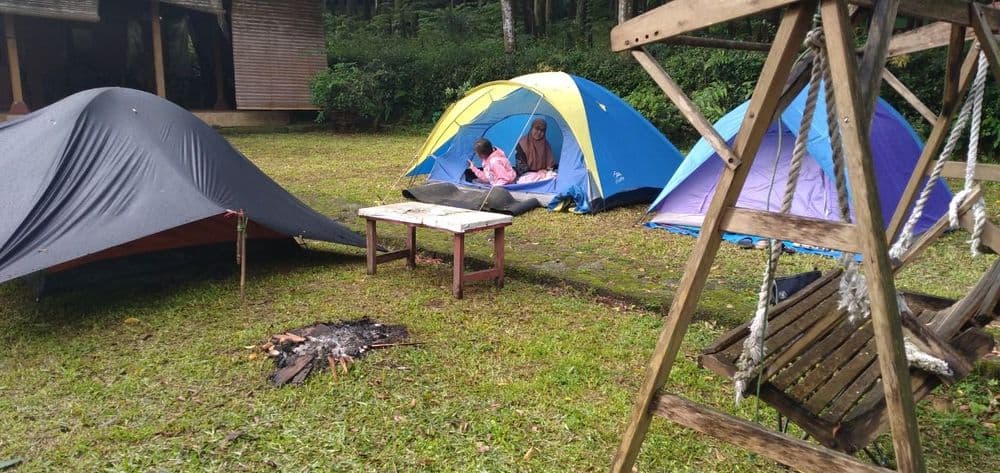 Edensor Camp Site gallery 2