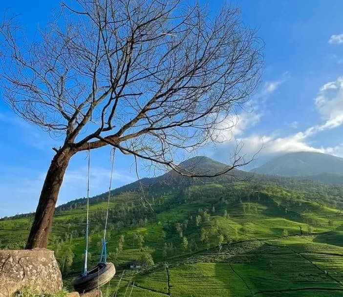 Gunung Cilik Kaliurip gallery 2