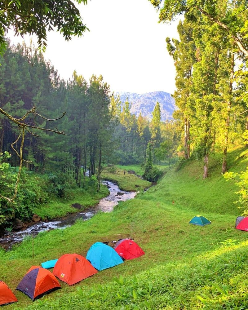 Camp Ground Manasuka gallery 2