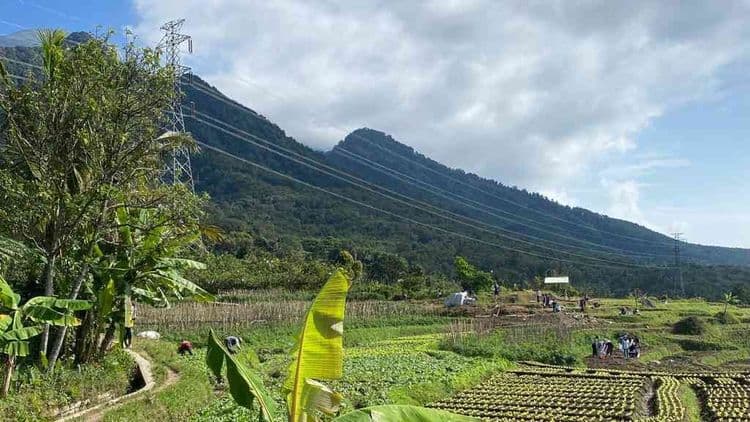 Wisata Pesona Desa Pajambon